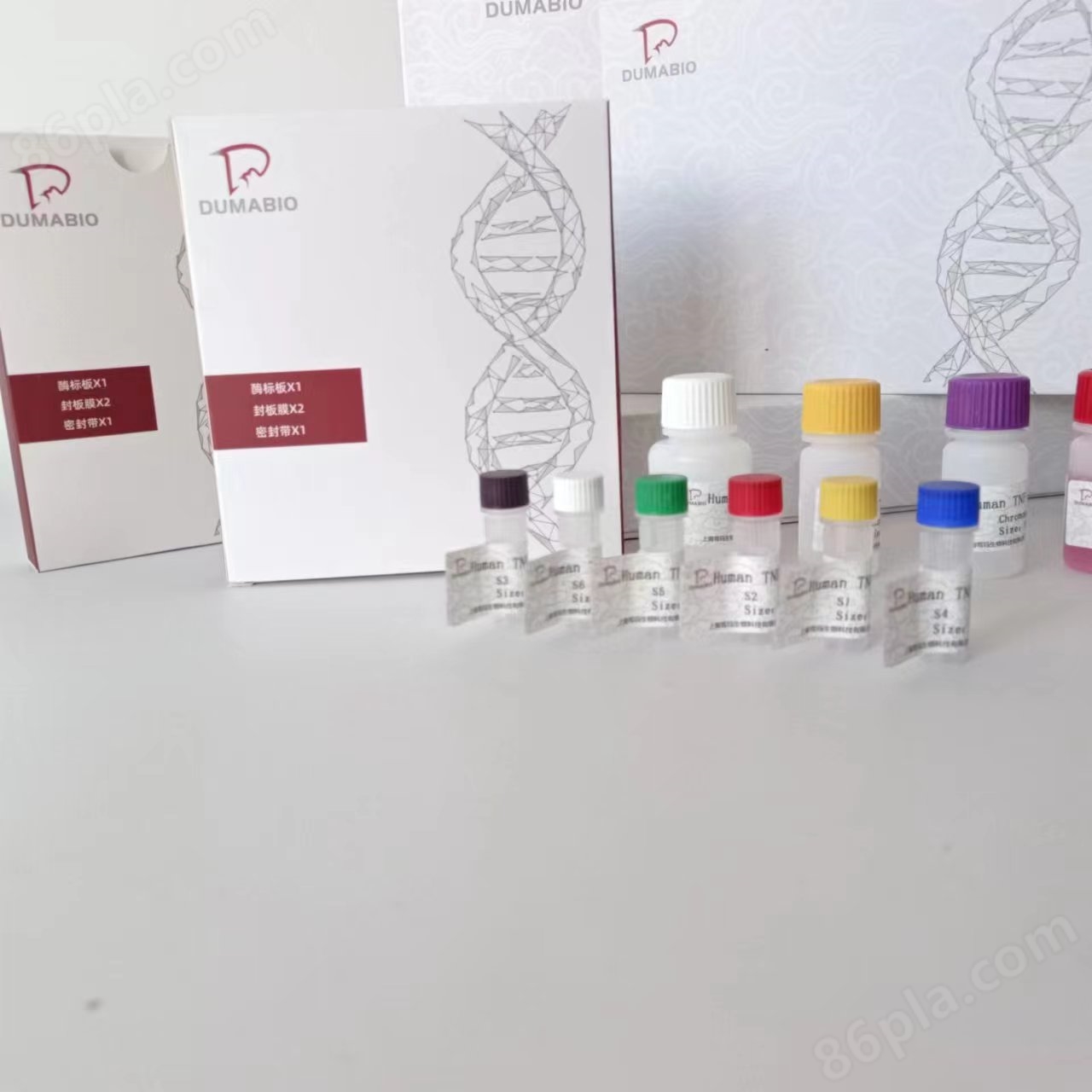 供应胰岛素ELISA试剂盒实验步骤
