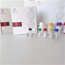 进口胰岛素ELISA试剂盒实验步骤